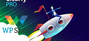 Обзор плагина clearfy pro